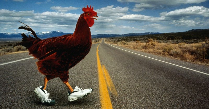 Jocul chicken road - Regula Drumului Puiului: Descoperiți Secretele Jocului Popular de Casino